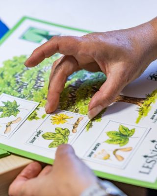 Nelepíme len papier. Lepíme kalendár, ktorý niekto daruje s úmyslom. A občas aj s trochou lepidla na prste. 🎨 Ilustrácie...